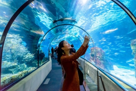 Barcelona Aquarium 1